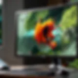 Visual representation of different refresh rates