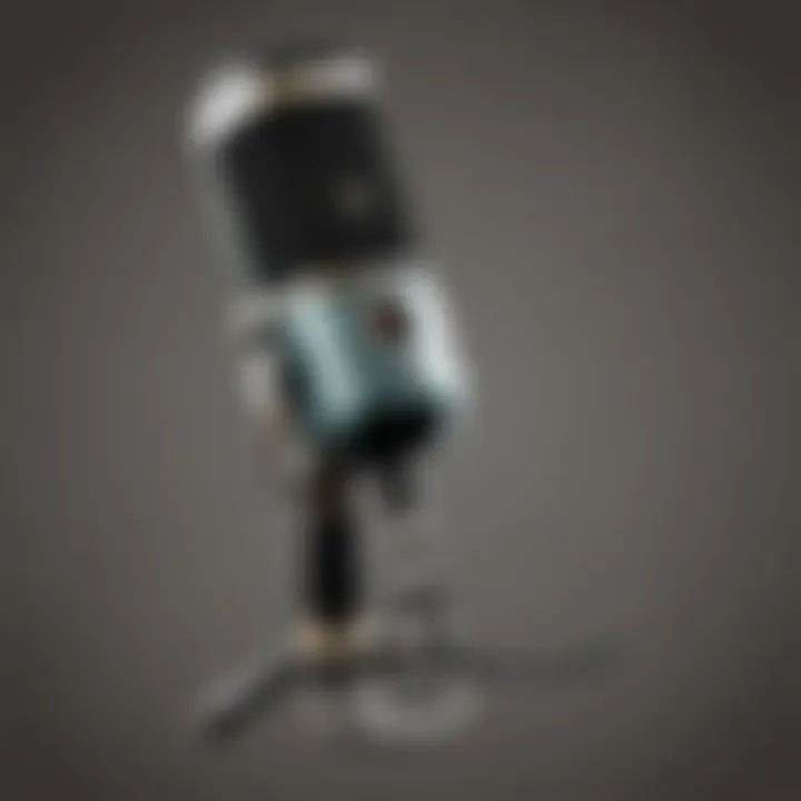 Quality microphone with adjustable settings