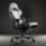 Birdrock Gaming Chair showcasing ergonomic design and vibrant colors