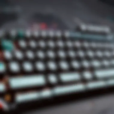 Mechanical Switches Cutting-edge mechanical switches on the Everest Keyboard