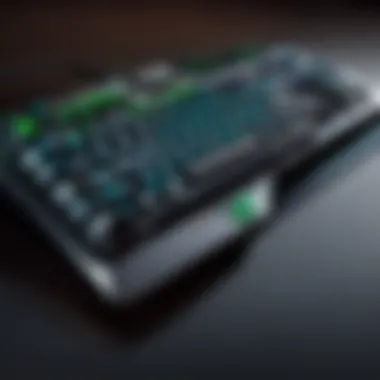 Ergonomic Excellence