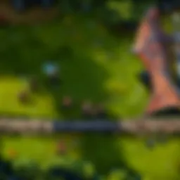 A high-performance gaming router setup