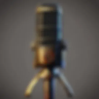 Microphone with Dota-themed customization