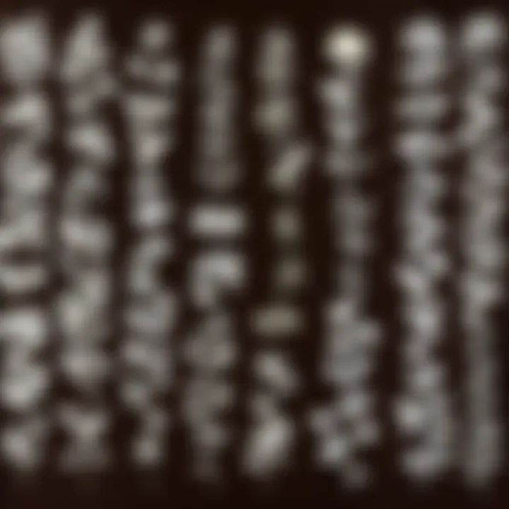 Close-up of dried herbs and natural remedies