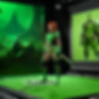 Close-up of LimoStudio Green Screen features