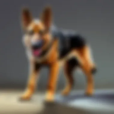 German Shepherd undergoing rehabilitation