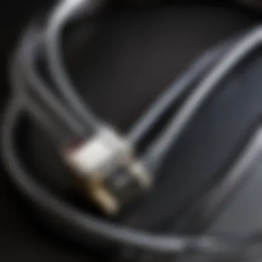 Sleek sleeved PSU cable with metallic accents