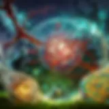 Network latency visualization in gaming